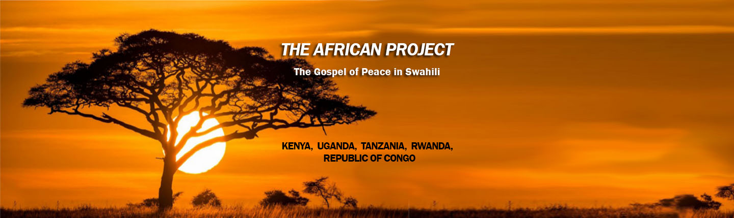 The African Project